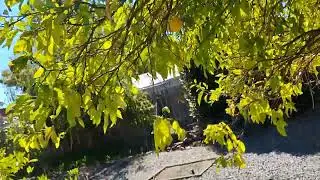 What have LadyDebbieSVanlife been doing don't you like to know watch the video 