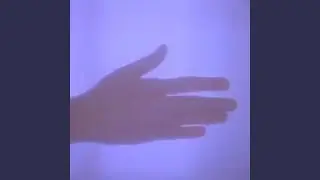 A visitor