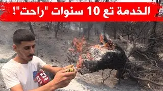 احتراق مئات الهكتارات في غابات عين ميمون بخنشلة وفلاحون تحت وقع الصدمة!