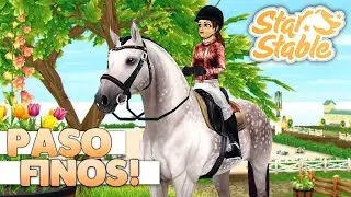 Star Stable — покупка лошадей породы пасо фино! 🐴