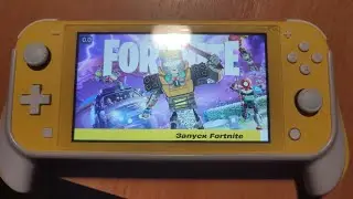 Fortnite on Nintendo Switch Lite gameplay 14th place 9 kill