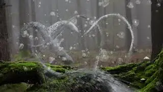 Water Playing in the Forest #vfx #vfxshorts #fluidsimulation