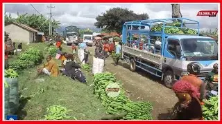 VIDEO: MBEGU MPYA za MIGOMBA ya KISASA ZITAKAZOWANUFAISHA WAKULIMA RUNGWE, TARI UYOLE WAELEZA...