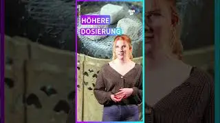 Ist Shisha rauchen gef&auml;hrlich? I #shorts