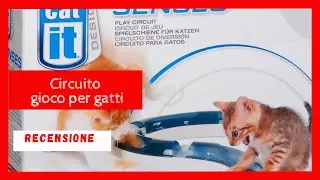 Circuito di Gioco per gatti #gatti #catit #giochi