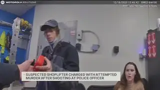 Suspected Walmart shoplifter allegedly attempts to shoot officer