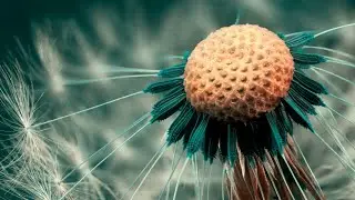 [FREE] energetic melodic guitar type beat