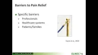 ELNEC Module 2 Pain Management