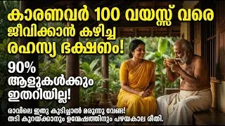 100 വയസ്സുവരെ ജീവിക്കാൻ കാരണവർ കഴിച്ച രഹസ്യ ഭക്ഷണം! 🥣✨ | The Ultimate Superfood