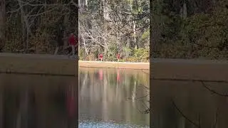 State park georgia #exploregeorgia #stateparks #nature #destination #shorts #shortsvideo #travel #lb