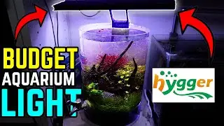 Awesome BUDGET Light For Your Nano Planted Aquarium! (Hygger Light Review)