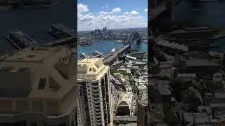 Sydney Harbour View