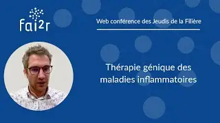Thérapie génique des maladies inflammatoires