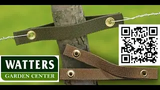 Tree V Strap to Tie Trees