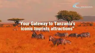 Arusha Airport Your Gateway to Tanzania&rsquo;s iconic Tourists Attractions.