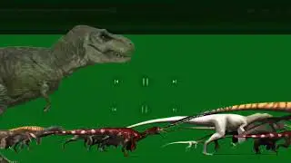 Pooja From Happy monster band Leading stampede green screen