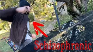 Schizophrenic cop