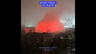 EnderVador X Am'AlphA - Primitive Call / Dalton