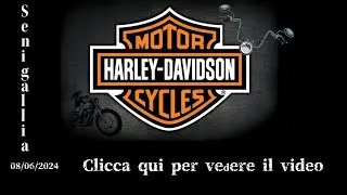 Senigallia (AN), Raduno Europeo 🌍 Harley-Davidson 🏍
