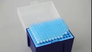 Pipette Tip Sterilization 1000ul