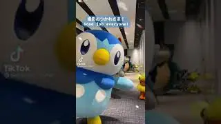 Pok&eacute;mon - Pikachu and his pals