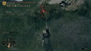 Elden ring bleed co-op(Nek with Thanos)