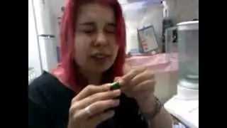 QuemEntende #4 - Lim&atilde;o, vina e xaxixo