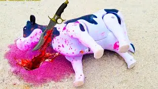 cow video | WADIDAU PROSES POTONG SAPI‼️| MANUSIA KARDUS , cow cutting,