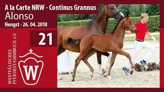021  Alonso HF  v. A la Carte NRW - Continus Grannus
