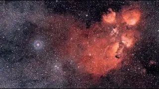 Space Cats: The Cat's Paw Nebula