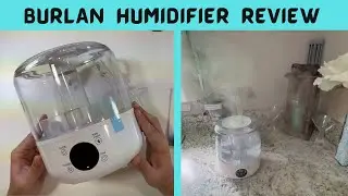 Обзор увлажнителя воздуха BURLAN Cool Mist