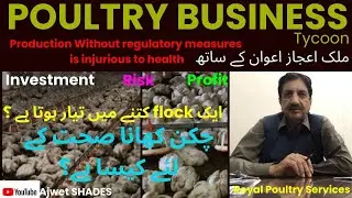 Poultry Farming Business | Poultry Farming In Pakistan 2024 | Broiler Chicken Farming Cost |Sargodha