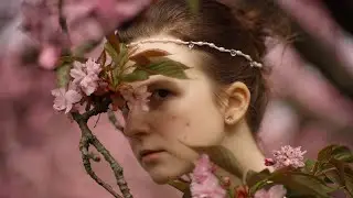 The Heart of Blossom | short dance film | seidr dance