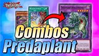 THIS PLANTS ARE DEADLY!!! PENDULUM BRANDED PREDAPLANT COMBOS! POST DIMENSION FORCE (DIFO)!