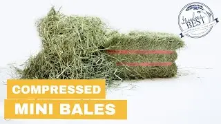 Grandpa's Best Compressed Hay