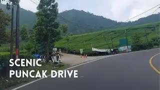 [Driving Puncak] Serene ASMR Drive Through the Enchanting Puncak Pass, Bogor, West Java - 11.43 AM