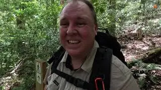 Gorge Falls and Cream Track (Gold Coast) Dec 2022