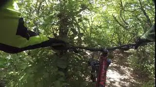 hayes dominion brake fail