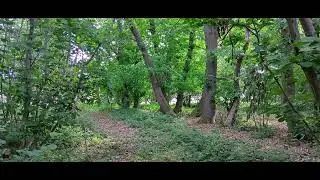 Colne Valley Airgun Club photo reel - on the border of Essex/Suffolk, UK