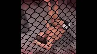 WWE 2K22 BREAK THE HELL IN A CELL 🔥