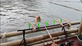 Diserang kumpulan bawal //mancing liar waduk cirata