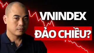 Chứng Khoán Hôm Nay: Nhịp đập thị trường: Vnindex có đảo chiều? | Quang Dũng DBD