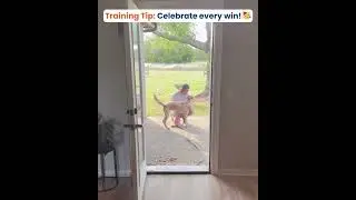 Celebrating every win! 🐶