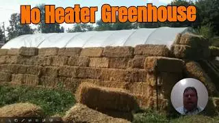 Urban Farmer Shares His Secret to Growing Citrus in Snow Without Heating Bills