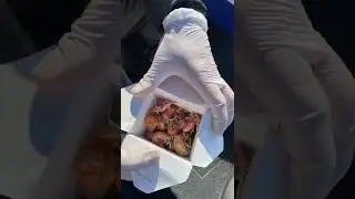 Sturgeon fishing 2022 - sand shrimp