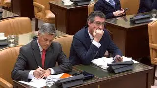 Comisión para la evaluación y la modernización del Estado autonómico 5 - D. Joan Romero González.