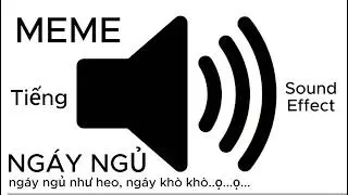 &Acirc;m thanh meme Ng&aacute;y Ngủ - Ng&aacute;y như heo / snoring sound  / Sound effect