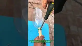 DIY Fruit Picker: Plastic Bottle Hack for High Harvests