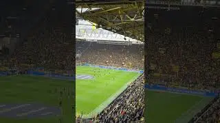 BVB Mainz aus dem Rewe Family Block View. #bundesliga
