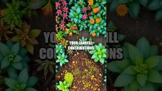 Rethinking Waste: Composting for a Greener Tomorrow